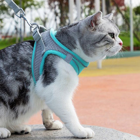 Cat Harness and Leash Adjustable Mesh 5 Color Reflective Vest Leash Set