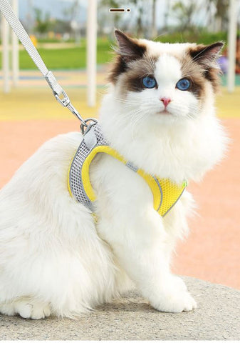 Cat Harness and Leash Adjustable Mesh 5 Color Reflective Vest Leash Set