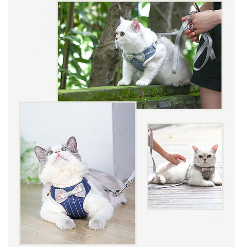Cat Harness and Leash Clothes Vest Nylon Mesh 5 Color Pet Collar Accessories