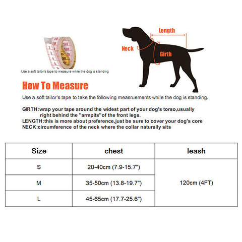 Cat Harness and Leash Clothes Vest Nylon Mesh 5 Color Pet Collar Accessories