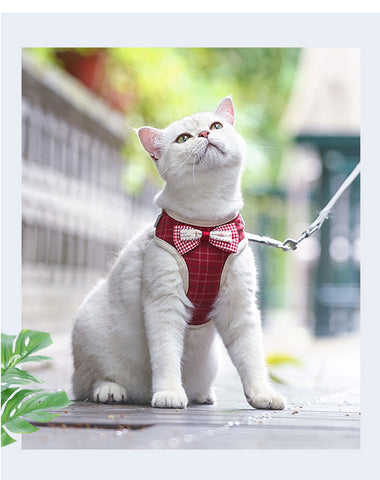 Cat Harness and Leash Clothes Vest Nylon Mesh 5 Color Pet Collar Accessories