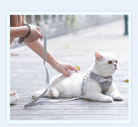 Cat Harness and Leash Clothes Vest Nylon Mesh 5 Color Pet Collar Accessories