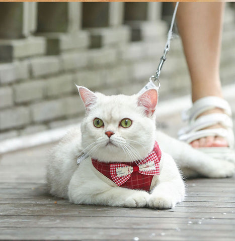Cat Harness and Leash Clothes Vest Nylon Mesh 5 Color Pet Collar Accessories