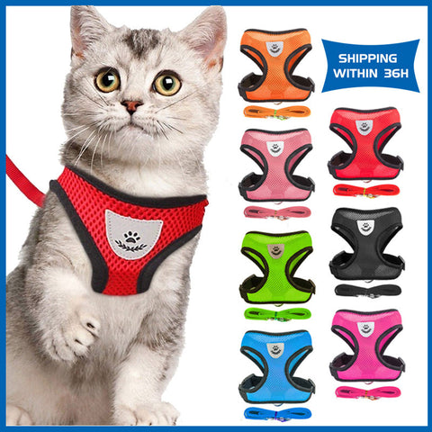 Cat Harness Leash Set Breathable Mesh 7 Color Collar Pet Accessories