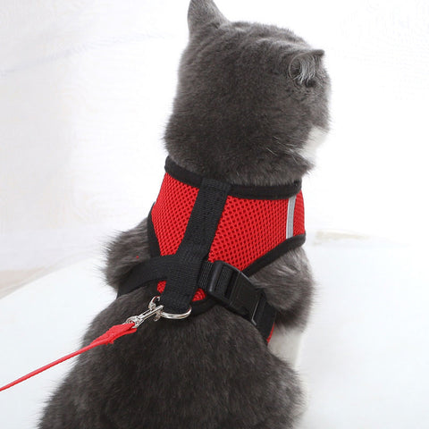Cat Harness Leash Set Breathable Mesh 7 Color Collar Pet Accessories