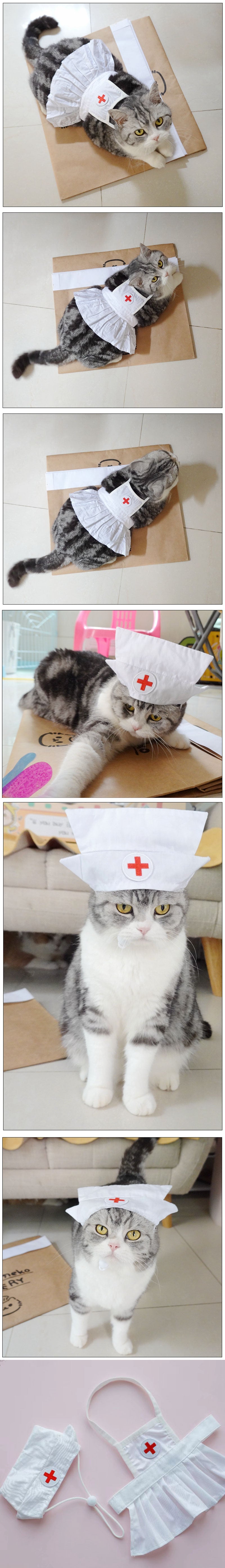 Cute Nurse Cat Clothes Hat Dress Pet Shooting Costumes