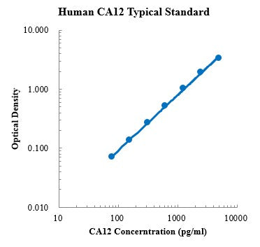 RUO Human CarBonic Anhydrase XII/CA12 ELISA Kit