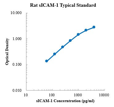 Rat SICAM-1/CD54 ELISA Kit Plate