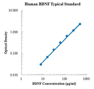 Human BDNF Enzyme Immunoassay Kit