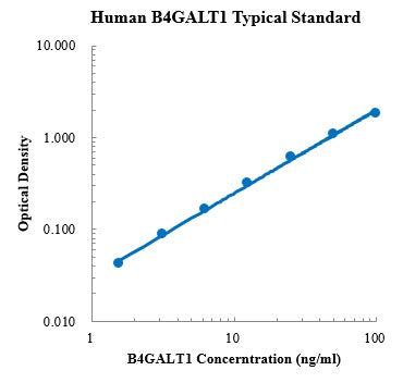 Human B4GALT1/GGTB2 ELISA Kit Plate