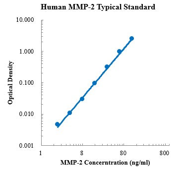 Human MMP-2 ELISA Kit For Protein Quantification