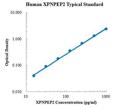 Human XPNPEP2 ELISA Kit For Protein Quantification