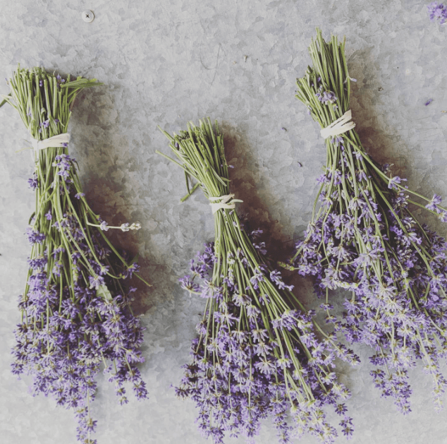 Lavender Soothing Bath Tea