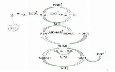 Biodegradable residues