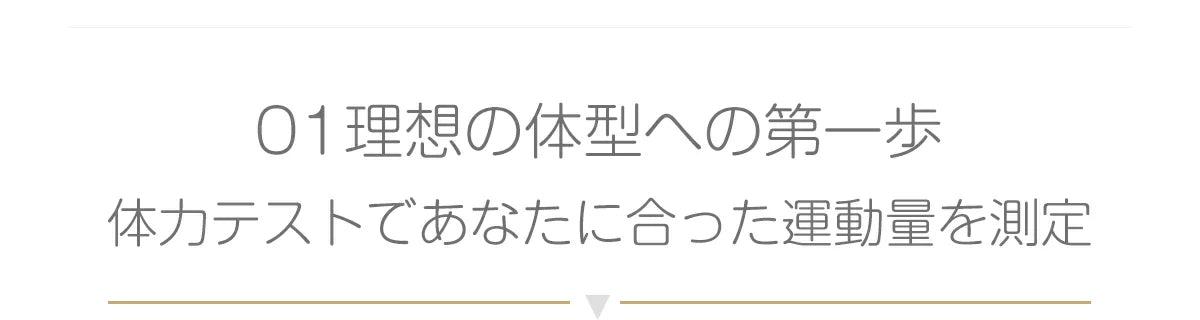 理想な体型への第一歩　AI フィットネスバイク