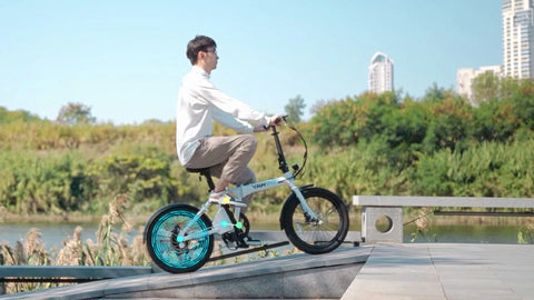 電動 自転車 3 輪 車