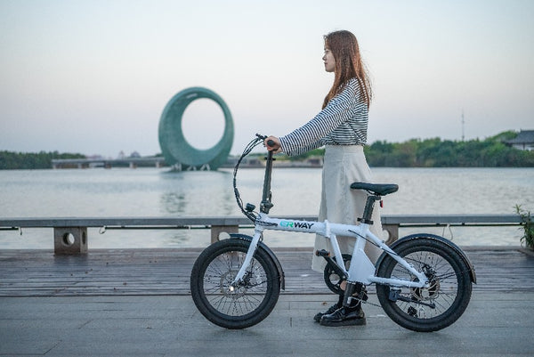 折りたたみ電動自転車