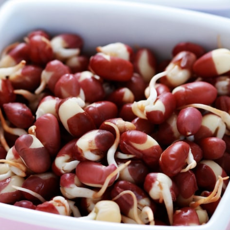 Dark Red Kidney Bean Seeds - Heirloom Seeds, High Yield, Chili Bean, Soup Bean, Open Pollinated, Non-GMO