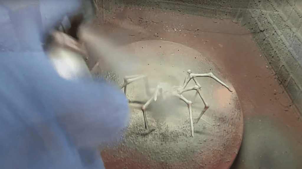 Protective Varnish