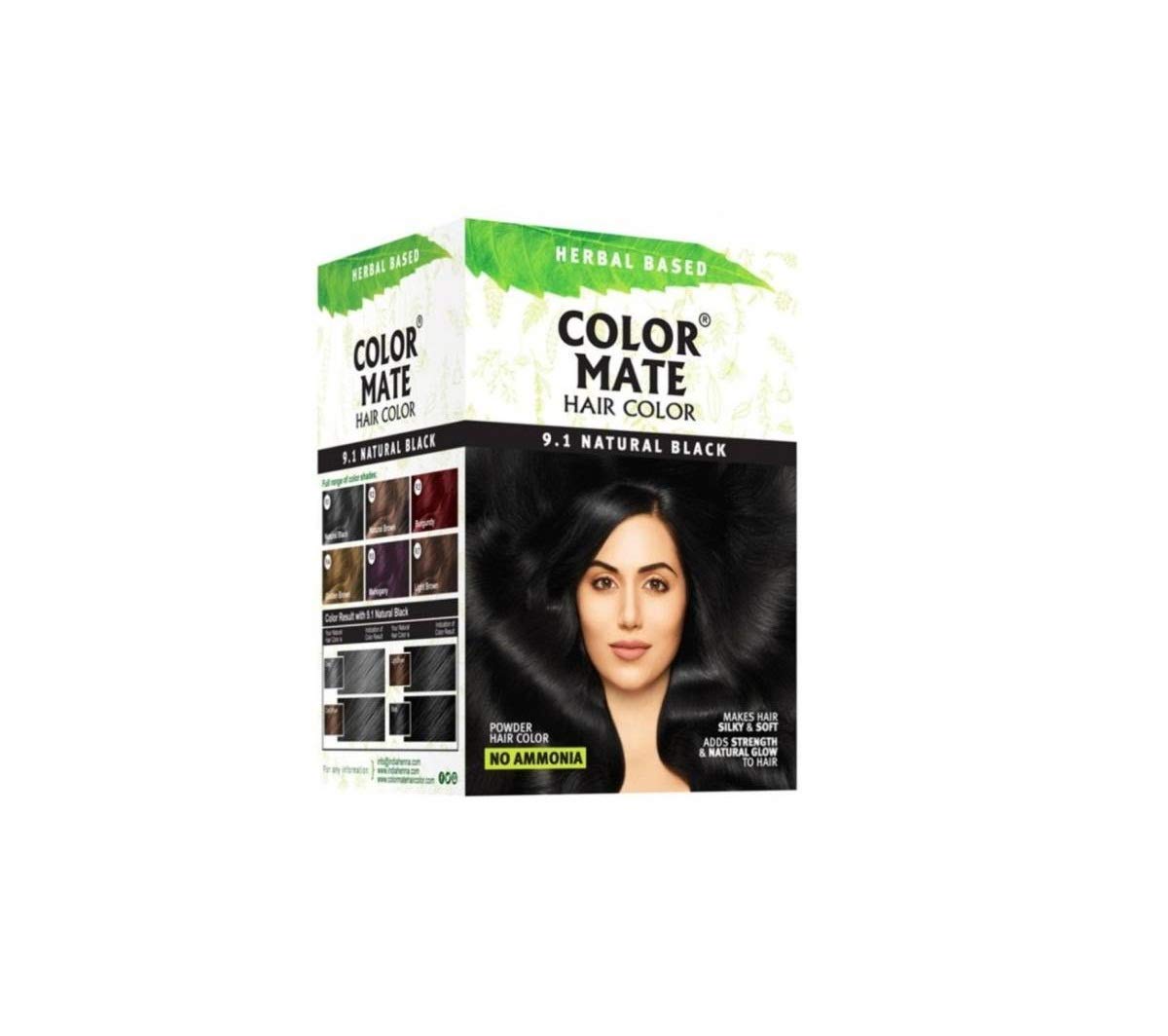 Color Mate No Ammonia Hair Color, 150g (9.1 Natural Black)