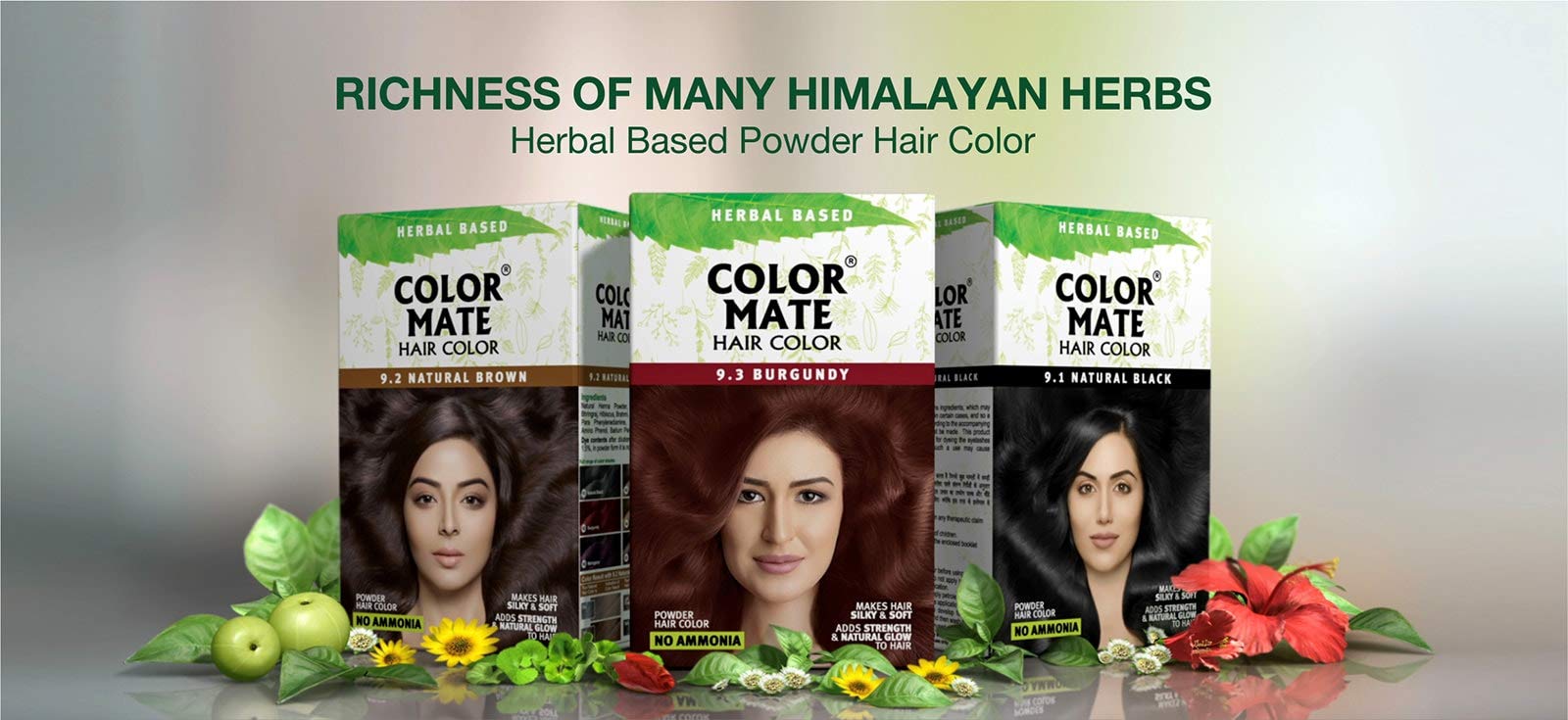 Color Mate No Ammonia Hair Color, 150g (9.1 Natural Black)