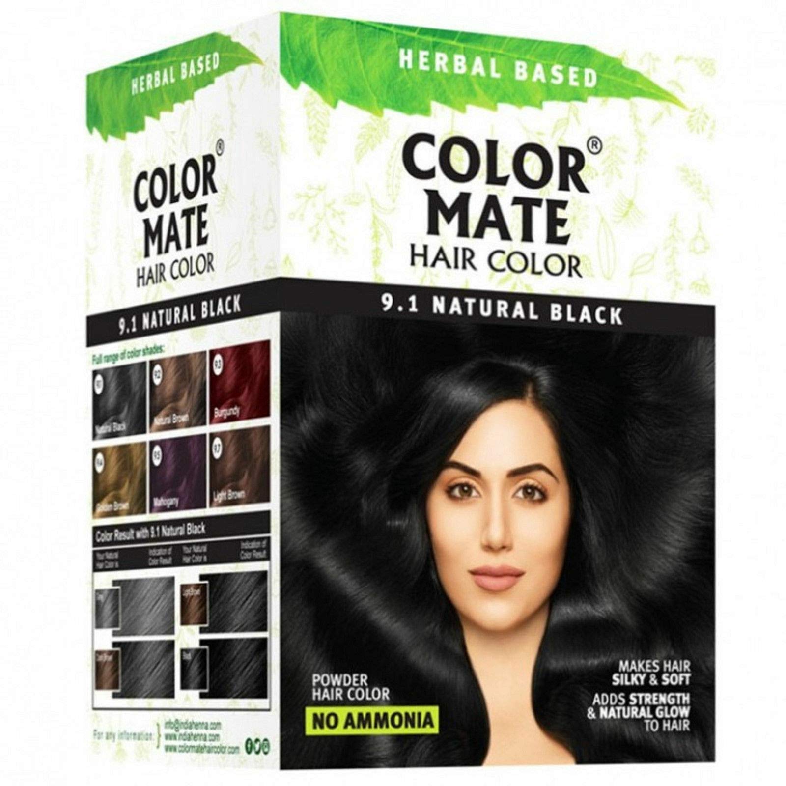 Color Mate No Ammonia Hair Color, 150g (9.1 Natural Black)