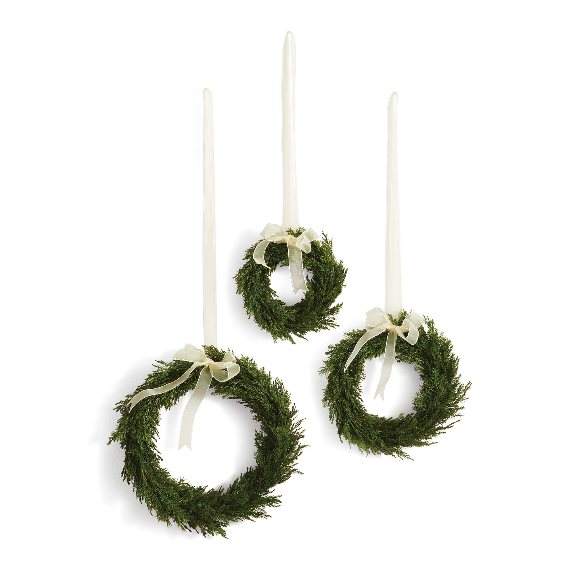 Cypress Wreaths, Set Of 3