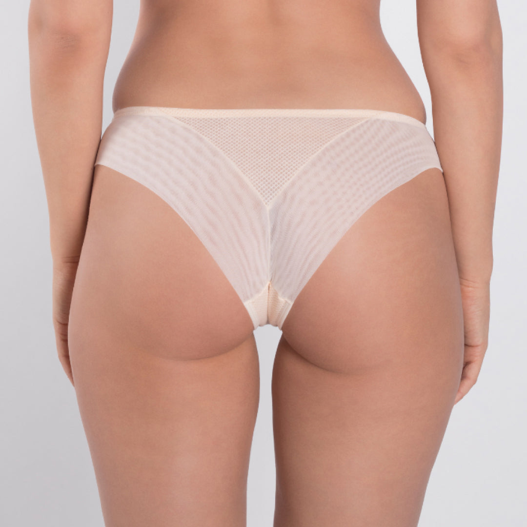 Sheer Mesh Tulle Embroidered Tanga Panty Valeria Biscuit