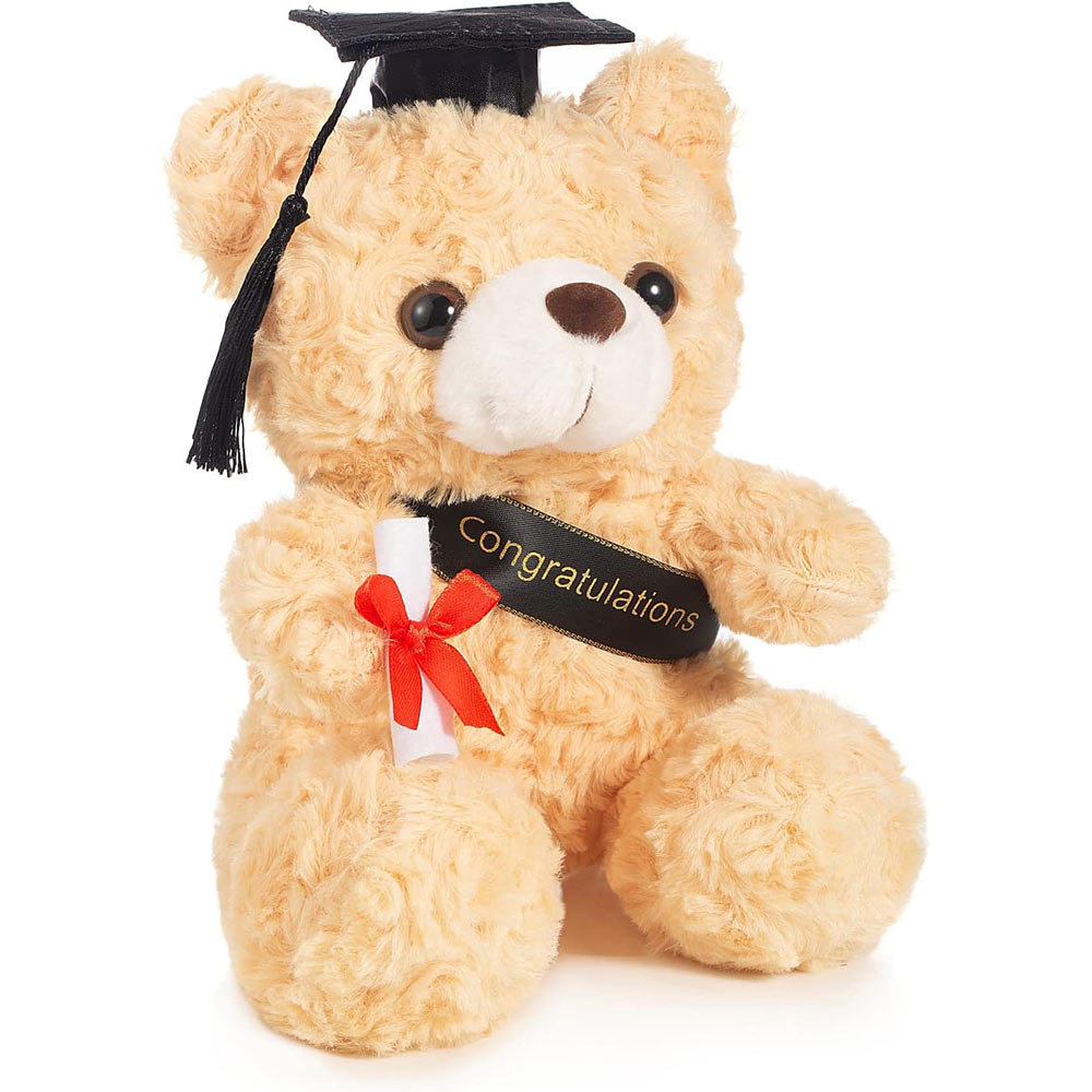 Graduation Bear Plush Toy