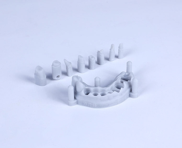 Dental Model