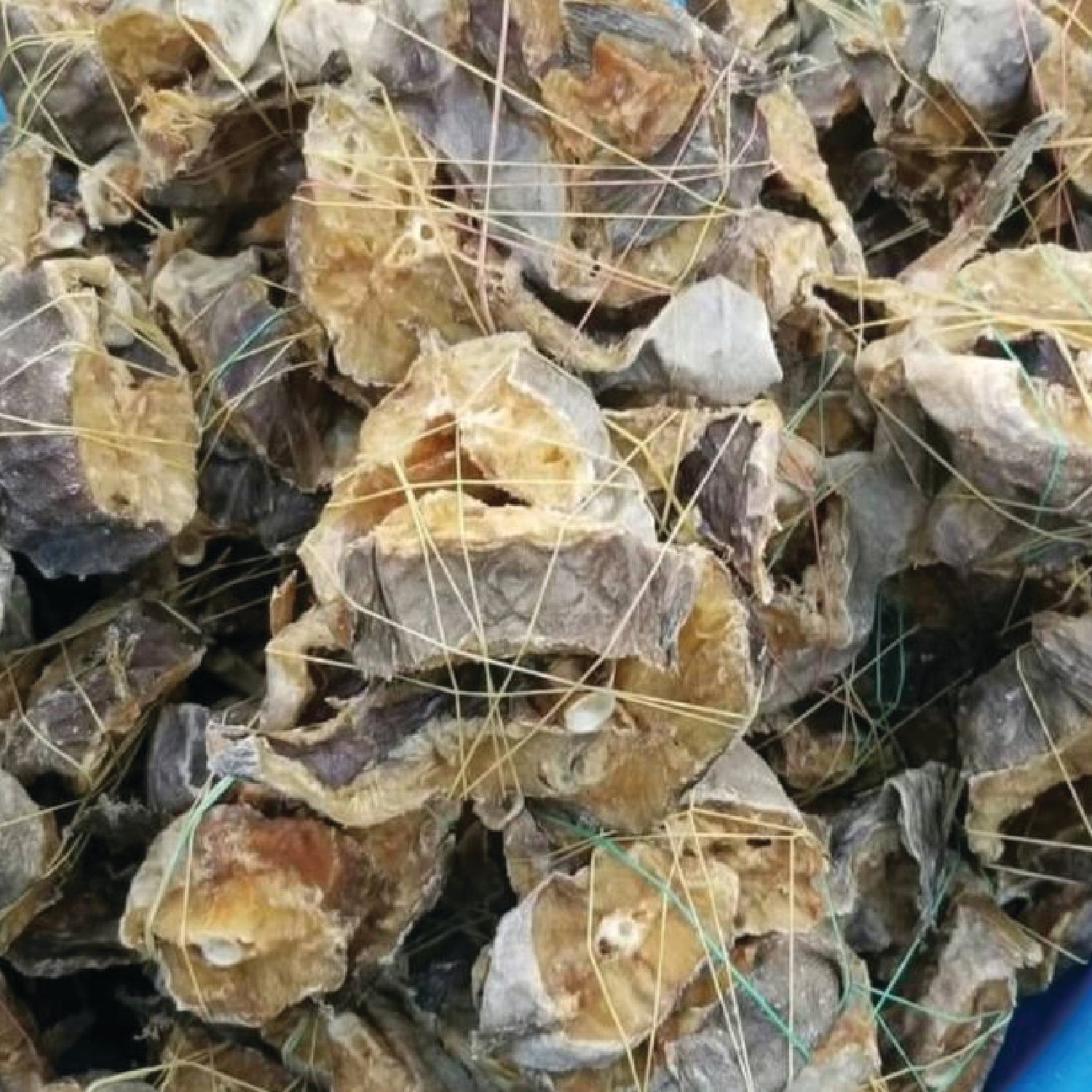 Stockfish