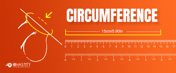 How to Measure penis