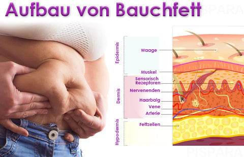 SupSlimBra™ Lymphvity Detox & Shaping & Powerful Lifting Bra