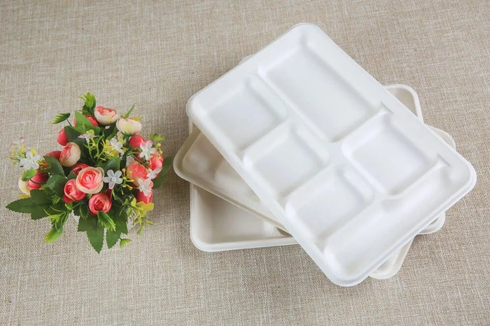 sugarcane bagasse food container