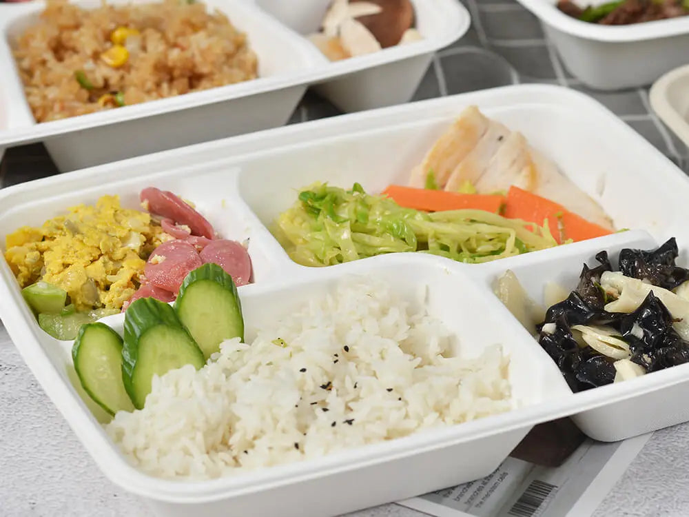 sugarcane bagasse containers