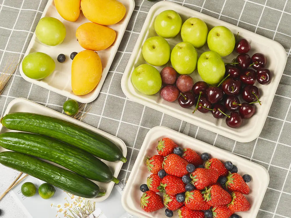 bagasse sugarcane plates