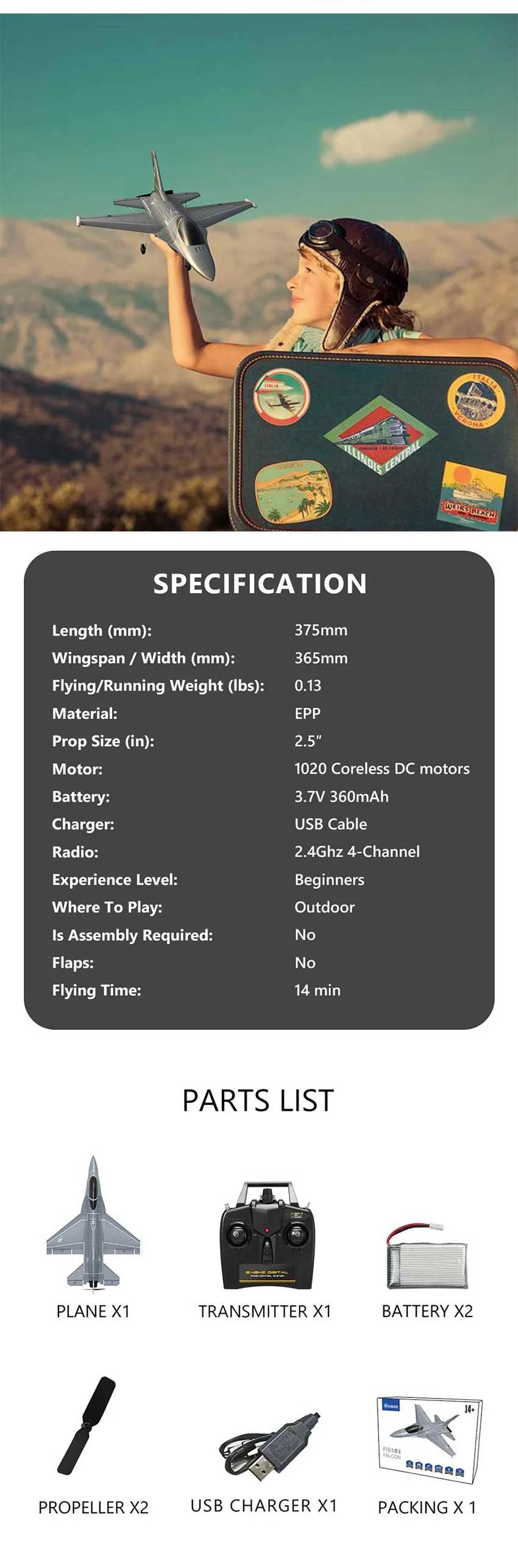RC Airplane Volantex F16 Falcon