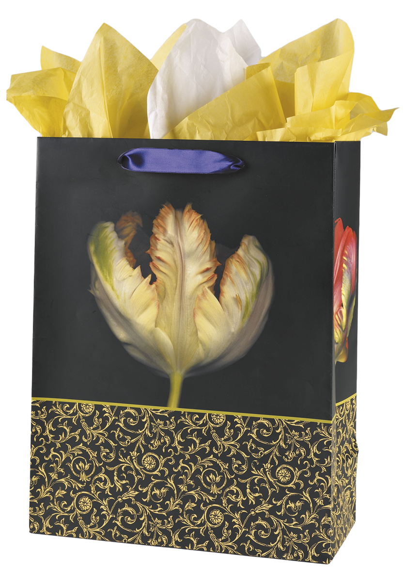  Tulip Gift Bag Set - Large 