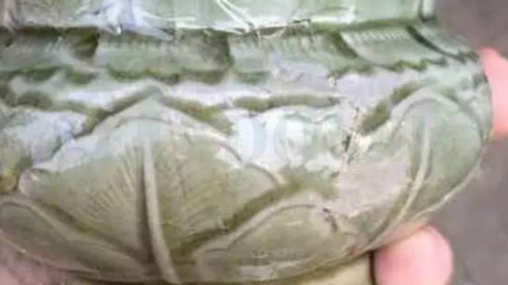 "Northern Song Dynasty Longquan Kiln Slag Bucket"