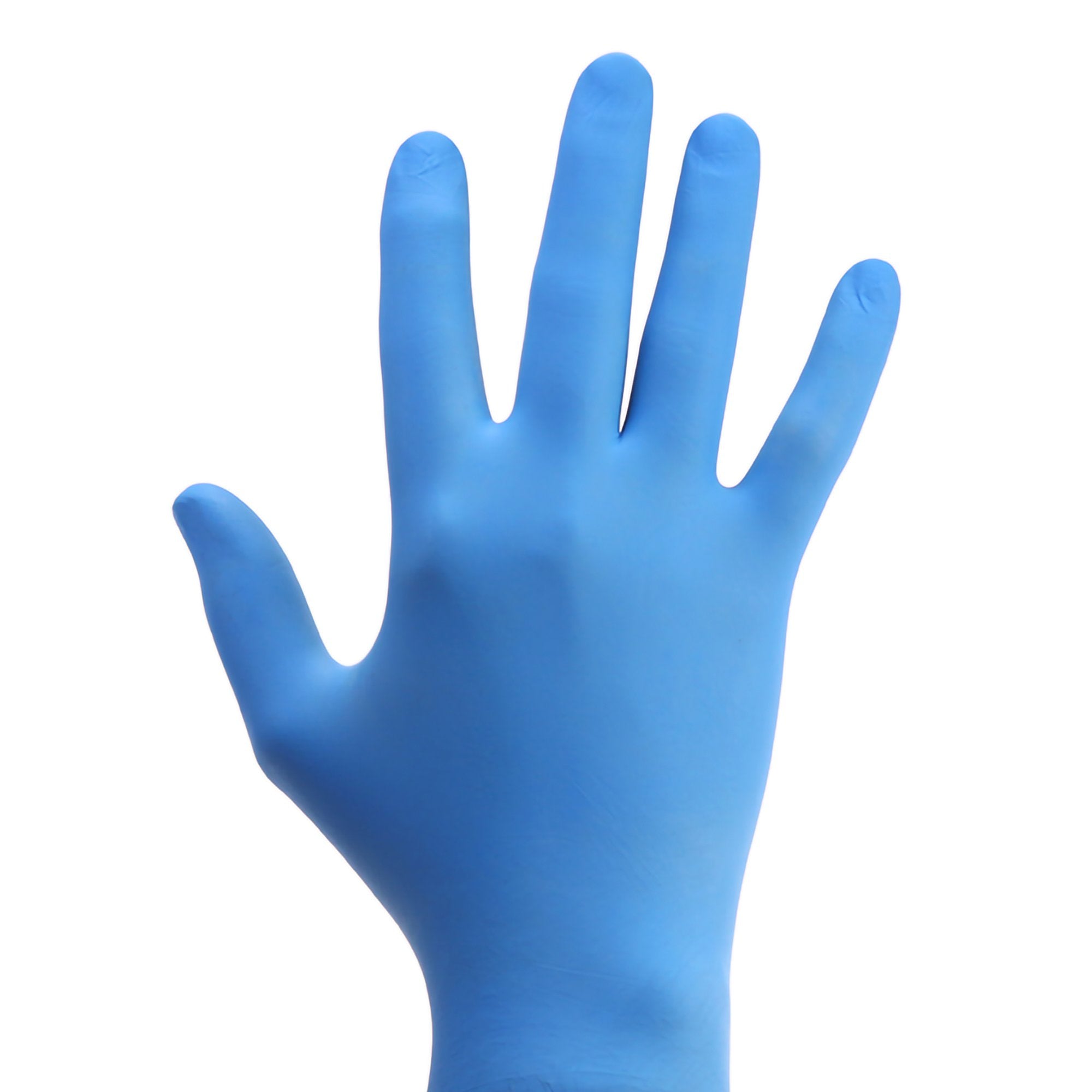 Amsino International - Exam Gloves