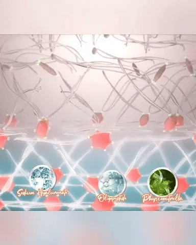 dufeq™Repairing Eye Cream