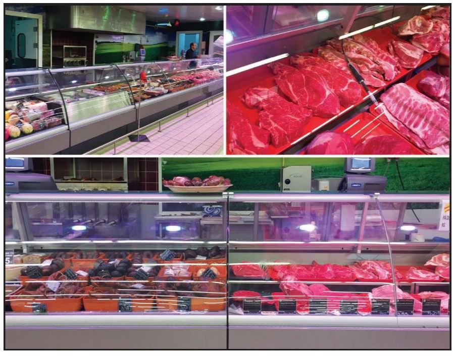 Hydra-Kool KFM-CG-100-S Fresh Meat Curved Glass Deli Case