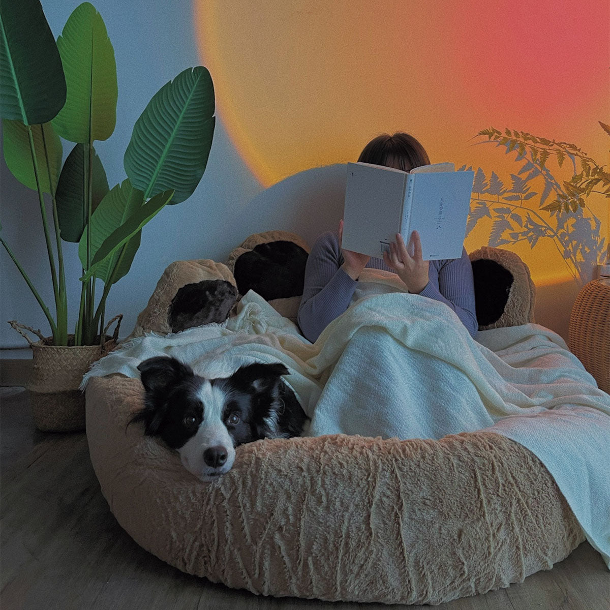 Pupwonders | Cotton Soft Bear Paw Dog Bed