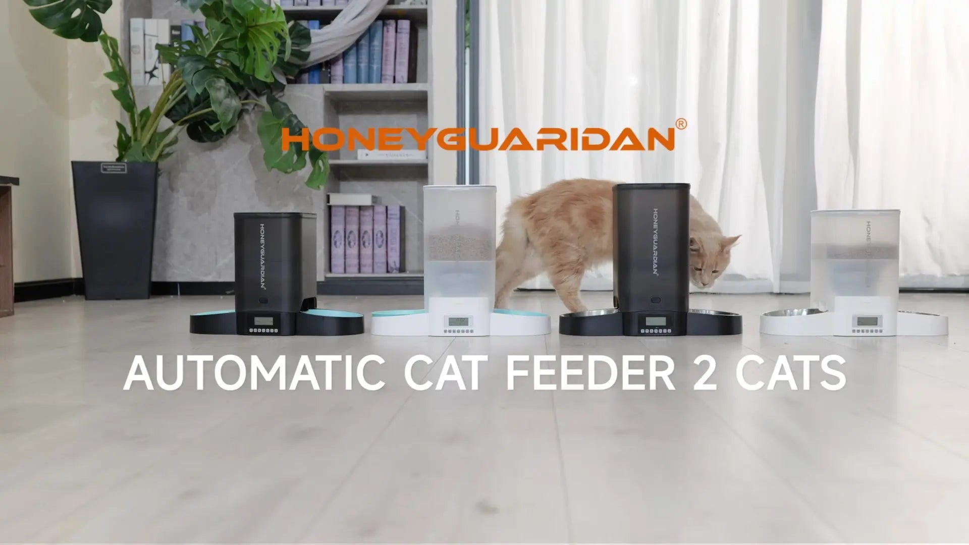 Honey guardian pet sales feeder