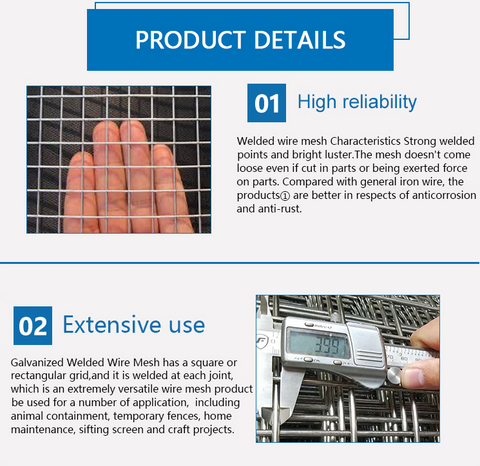 PVC Coated Welded Wire Mesh
