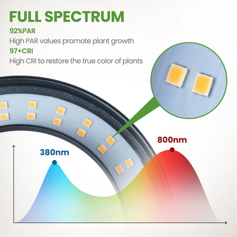 Grow Lights for Indoor Plants