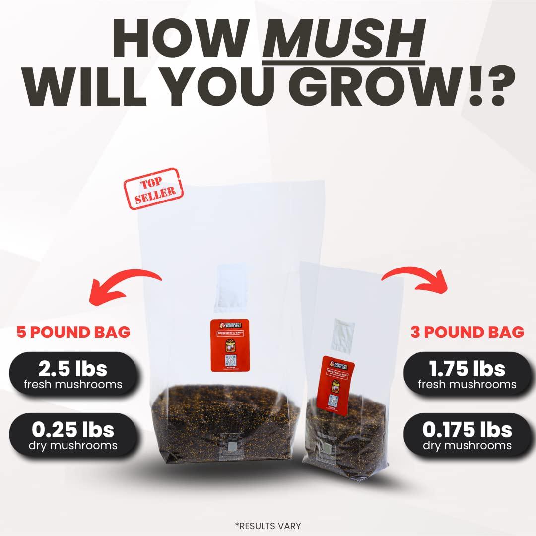 All in ONE Mushroom Grow Kit in-a-Bag (3 LBS) | Mushroom Grow Bag with Sterilized Grain and Substrate | Easy Grow Your Own Mushrooms