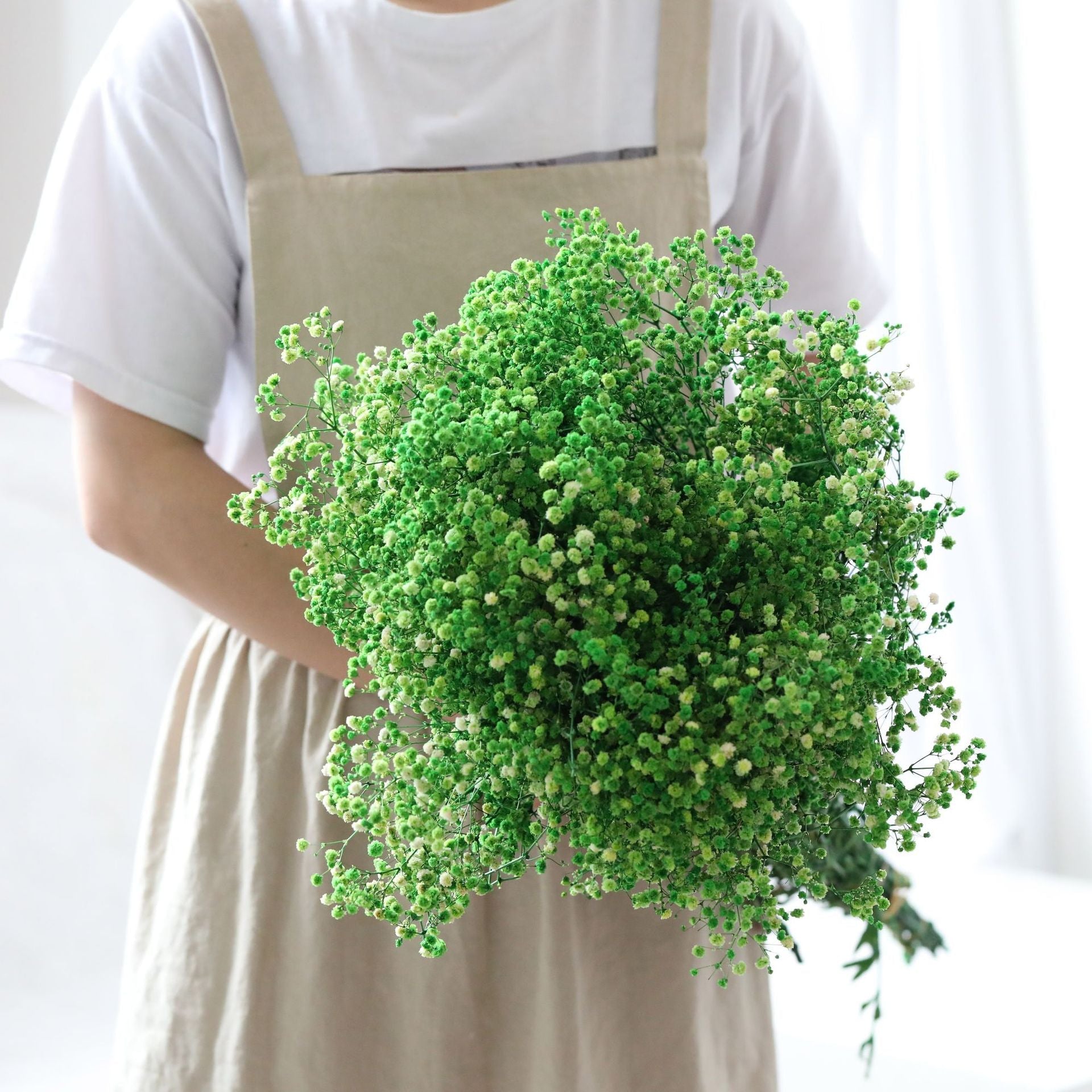 Natural Dried Preserved Flowers Gypsophila Flower Bouquets