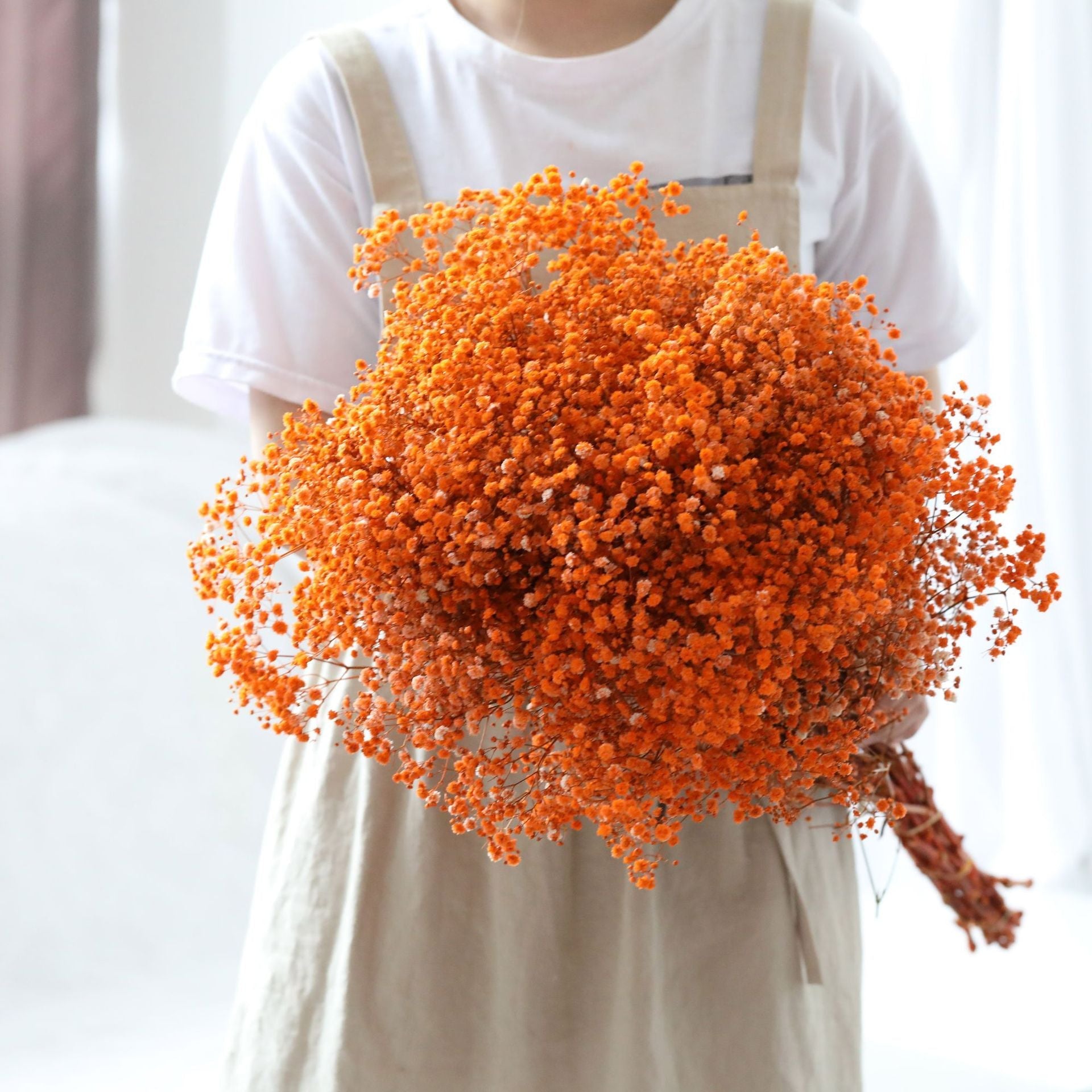 Natural Dried Preserved Flowers Gypsophila Flower Bouquets