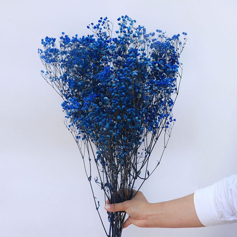 Natural Dried Preserved Flowers Gypsophila Flower Bouquets